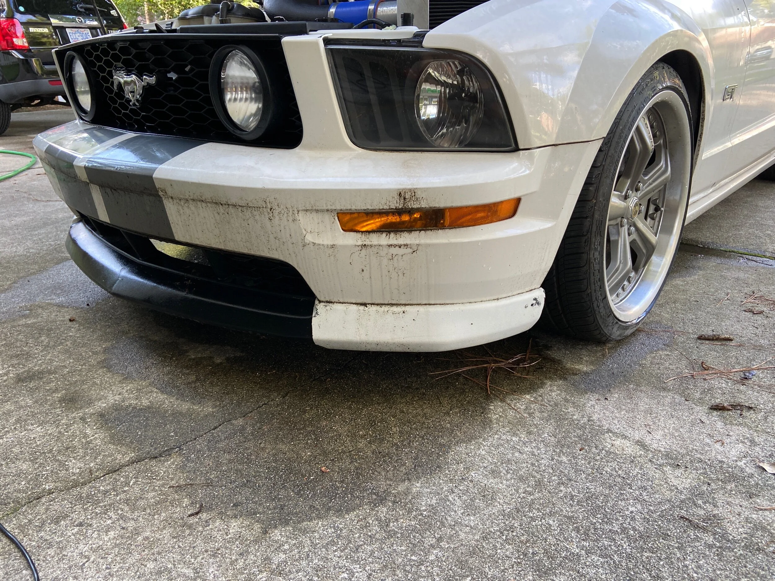 IMG_8461.jpeg