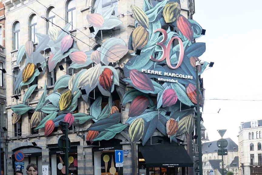 Original Image captured in Brussels