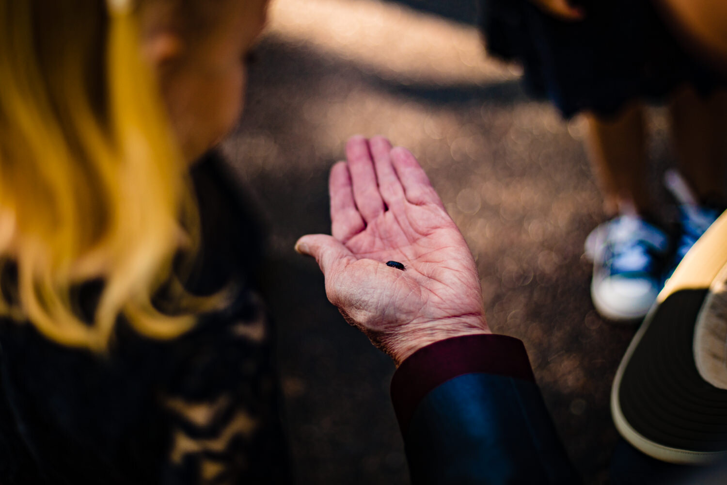  Denver Botanic Gardens Chatfield Farms Wedding by Denver Wedding Photographer JMGant Photography. 