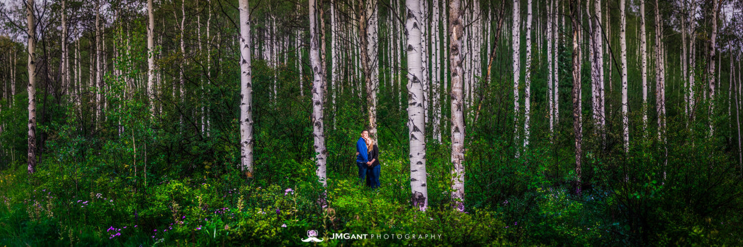  Early morning summer engagement photo shoot in Beaver Creek Colorado. 