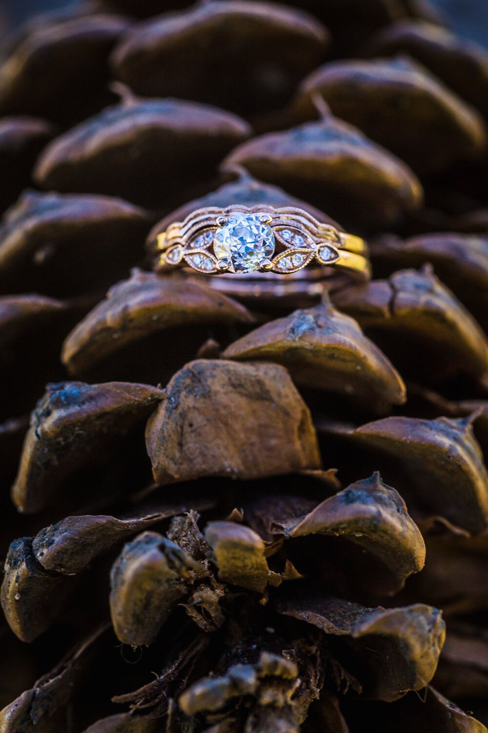  Wedding ring details by JMGant Photography 