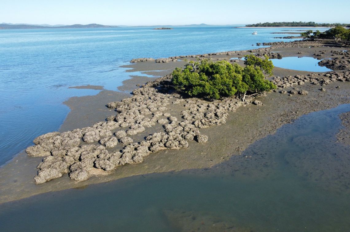 National Environmental Science Program mid-term evaluation