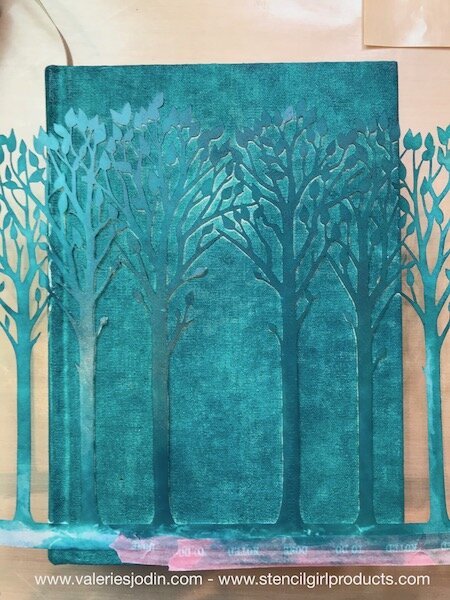 23.Bible Cover-Valerie Sjodin.jpg