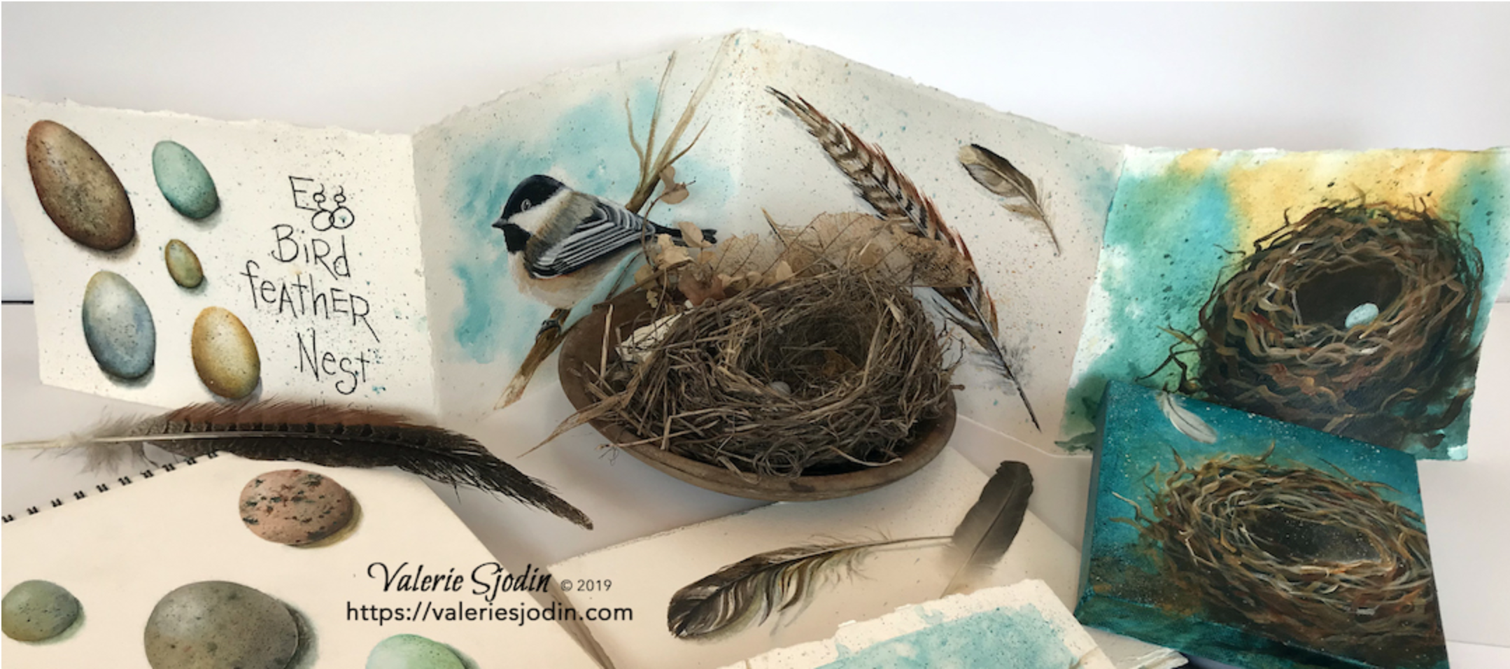 How to Paint Birds, Eggs, Feathers &amp; Nest E-Course