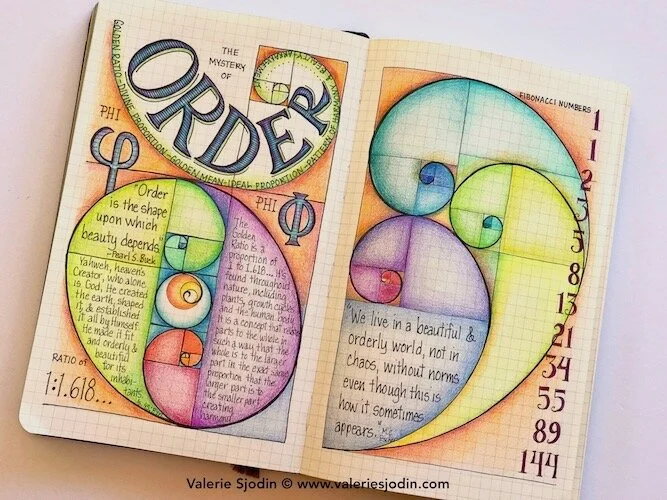 Order and Organizing! O in A-Z Word Challenge