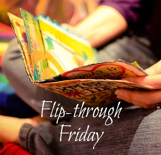 Beginning a Short Series of Flip-through Videos