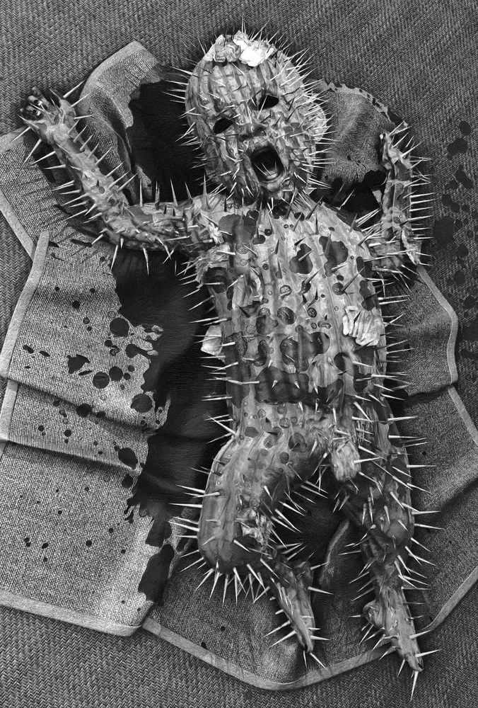 03-Cactus-Baby.webp