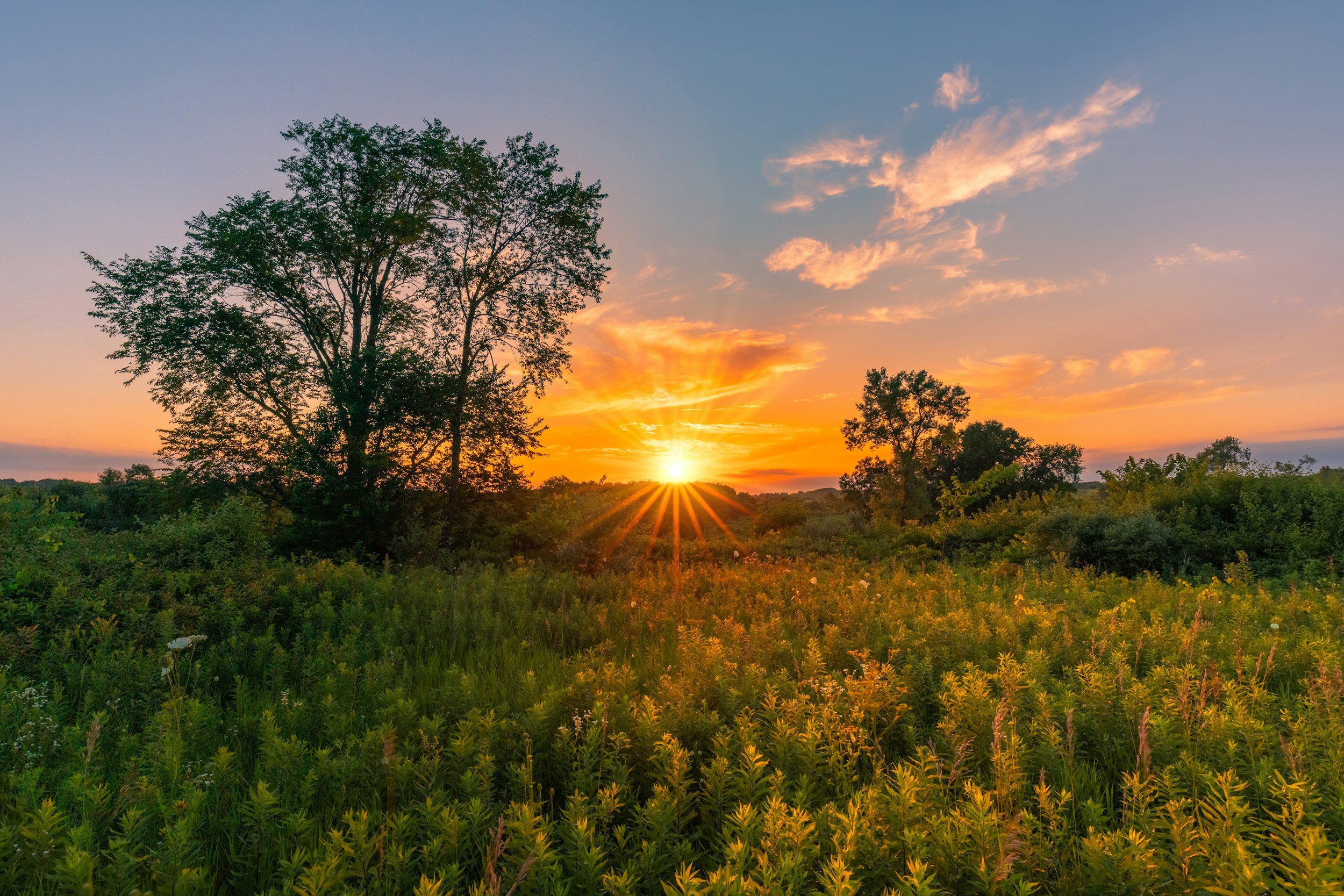 Sunset over a grassy field with silhouettes of trees and colorful sky with clouds.
