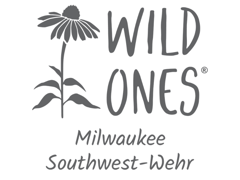 Wild Ones - Wehr Chapter, Franklin, WI: Wild Ones connects people with native plants for a healthy planet.  We advocate to convert lawns to bio-diverse gardens to bring in the pollinators, saving birds, bees and butterflies.