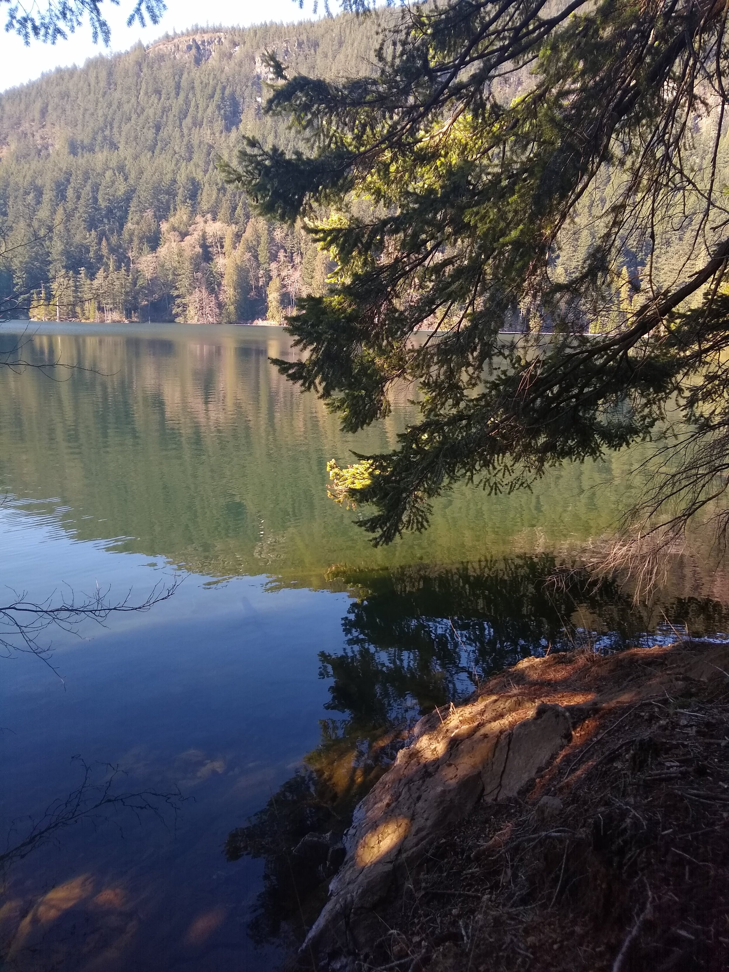 MVIMG_20190318_103633902.jpg