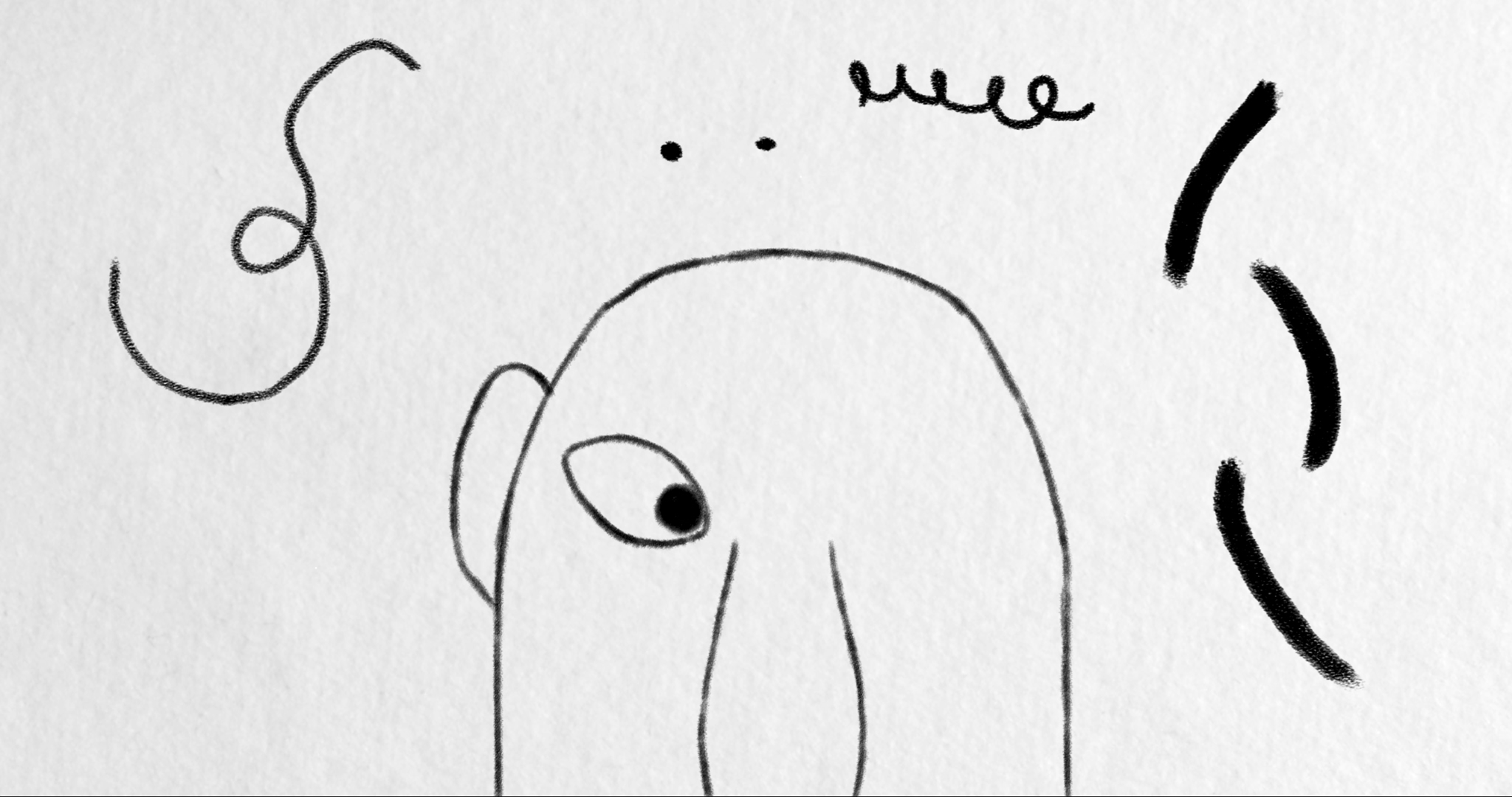 BIRTH OF A DOODLE