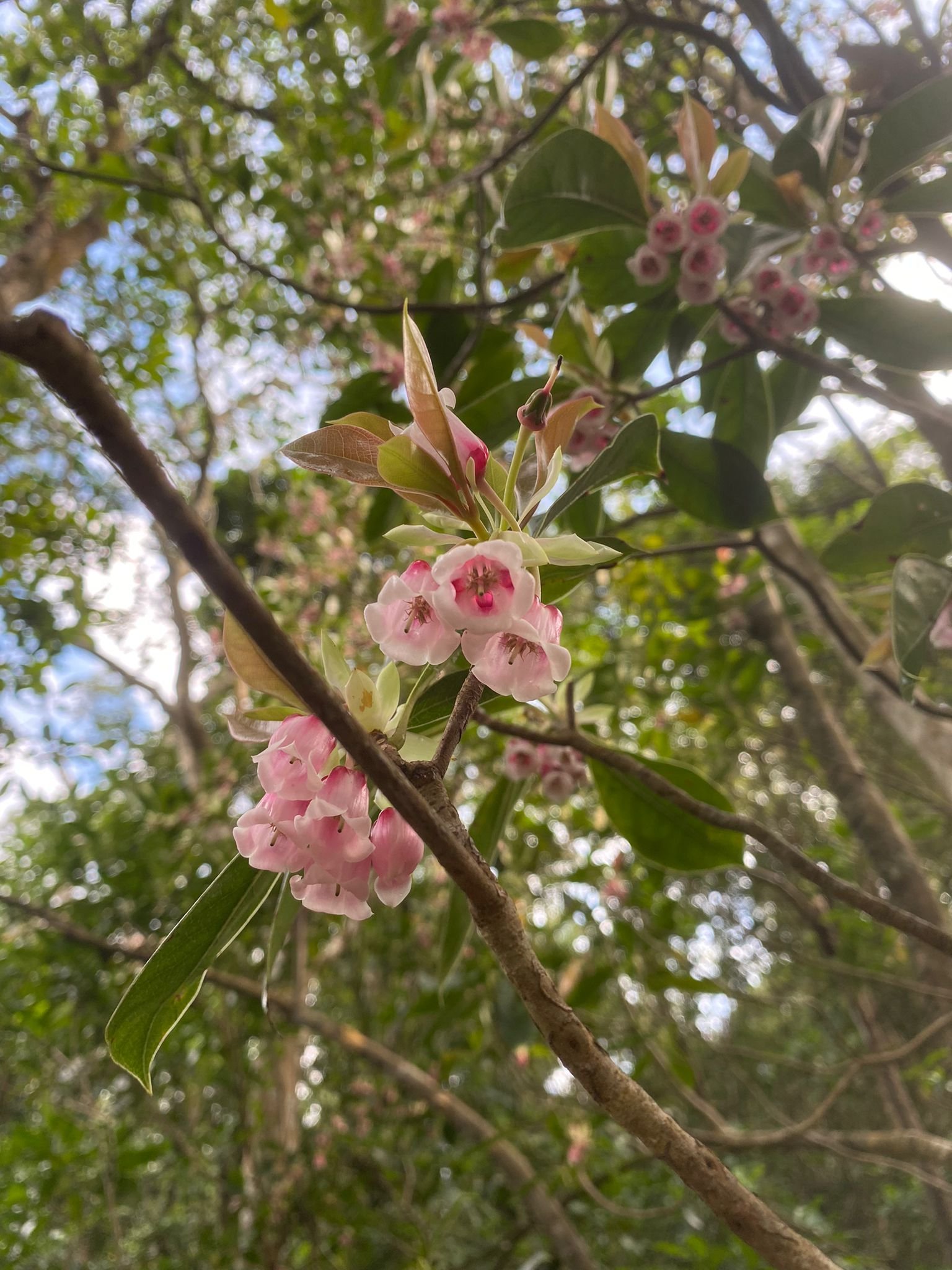 WhatsApp Image 2022-01-30 at 10.49.34.jpeg