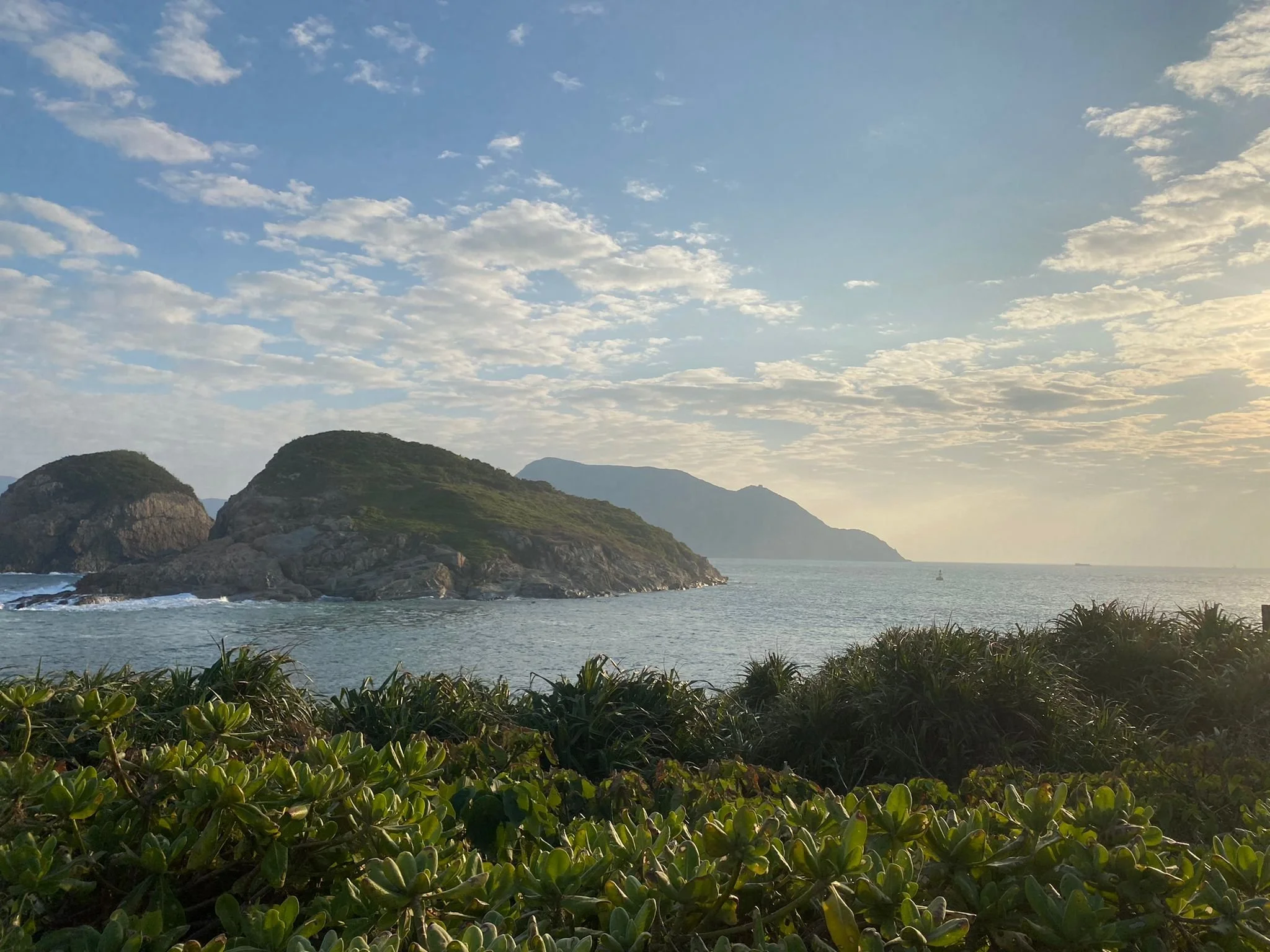 WhatsApp Image 2022-01-30 at 10.50.47.jpeg