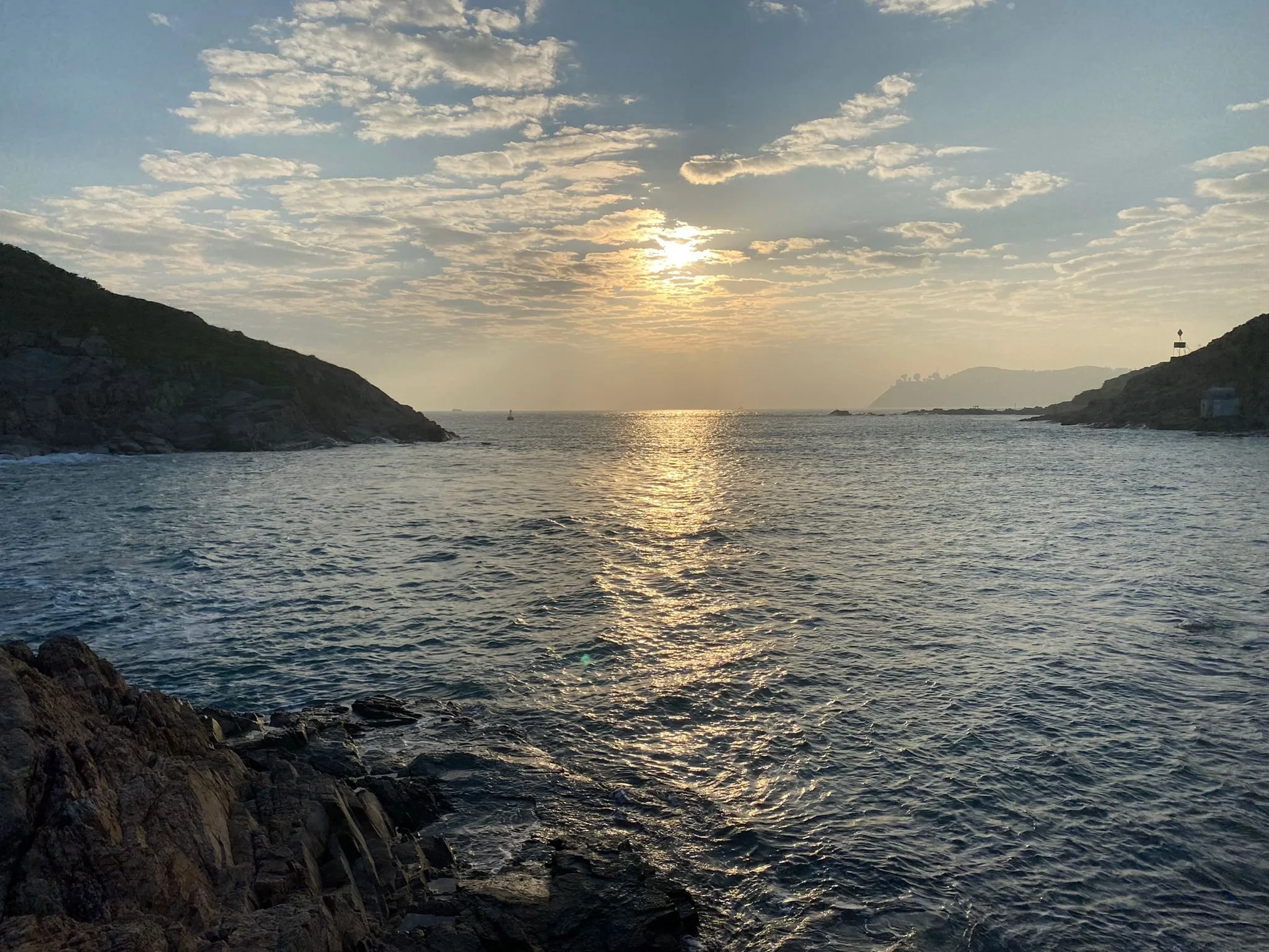 WhatsApp Image 2022-01-30 at 10.49.51.jpeg