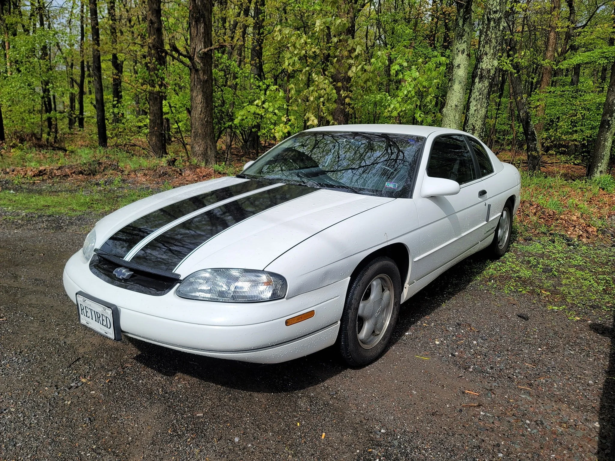 A white Chevrolet car with black racing stripe parked on a forested area with green trees and wet ground.