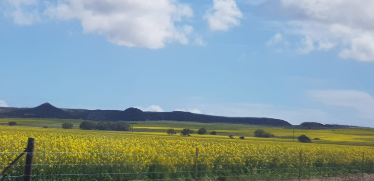 Smart Farms Small Grants open for Big Impact