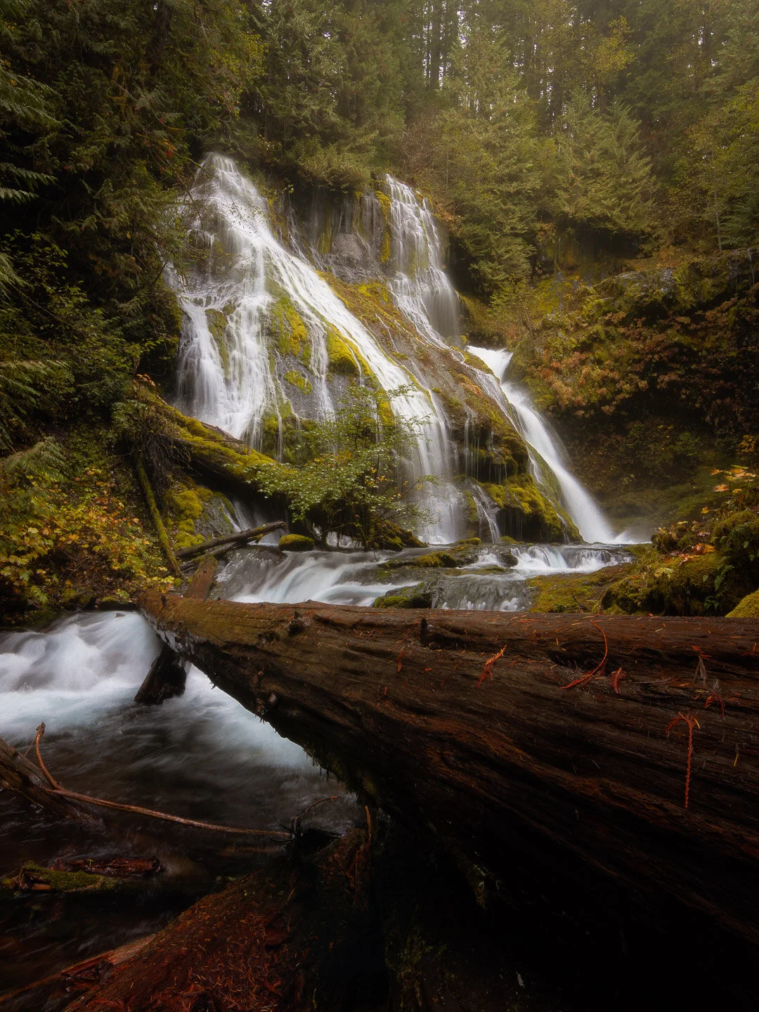 DSC_1493-Edit_IG.jpg