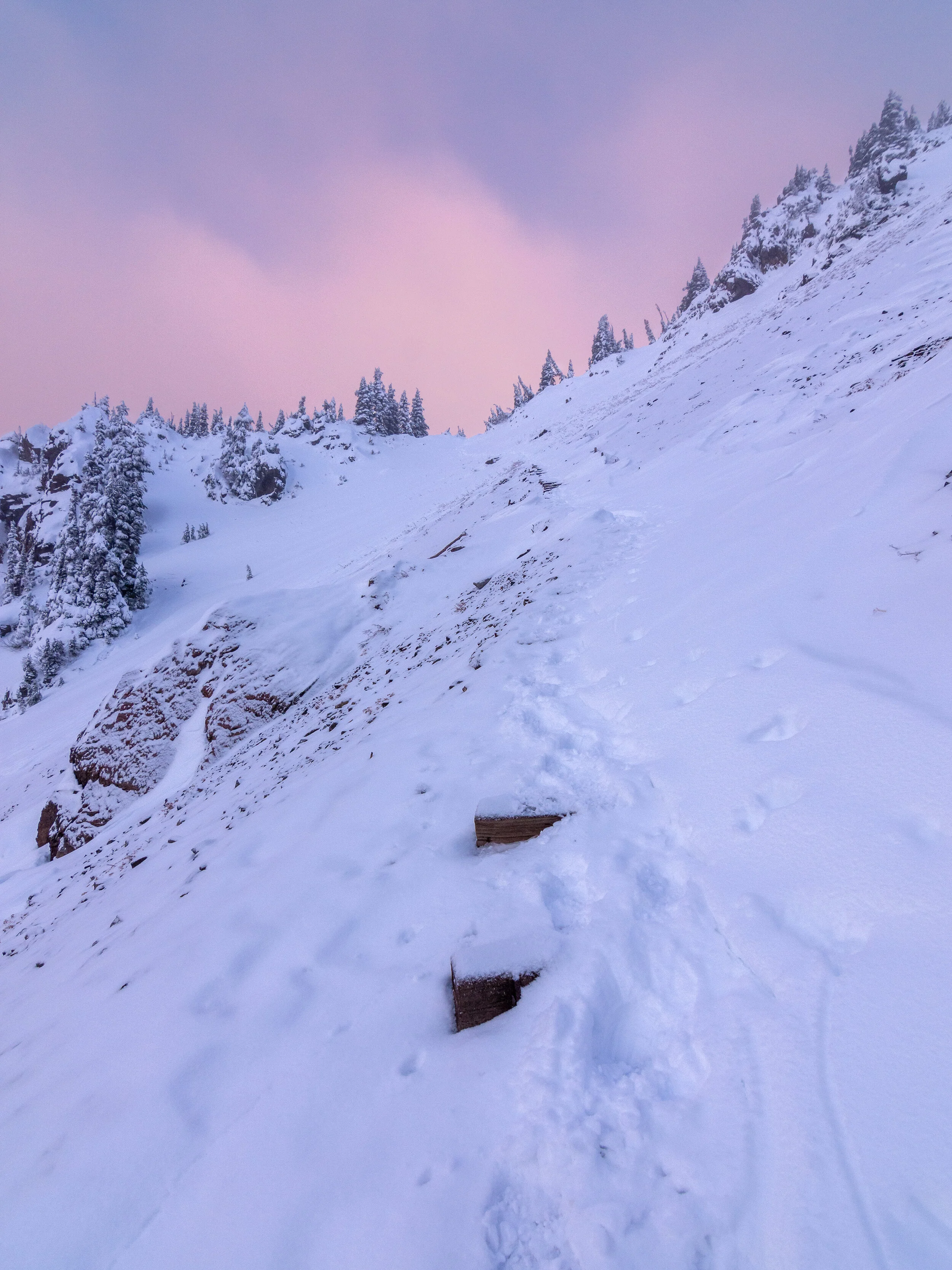 DSC_2173-Edit.jpg