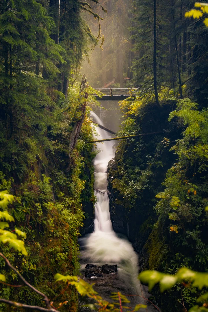 DSC_6981-Edit_IG.jpg