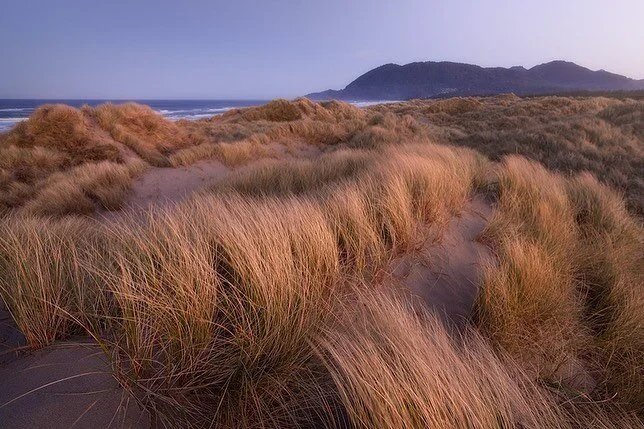 The Oregon Coast has some of the most amazing landscapes around. Anything from high alpine, to desert, rocky coastal cliffs, to sand dunes! 

If you&rsquo;re interested to see how I was able to capture this image, check out the link in my bio.