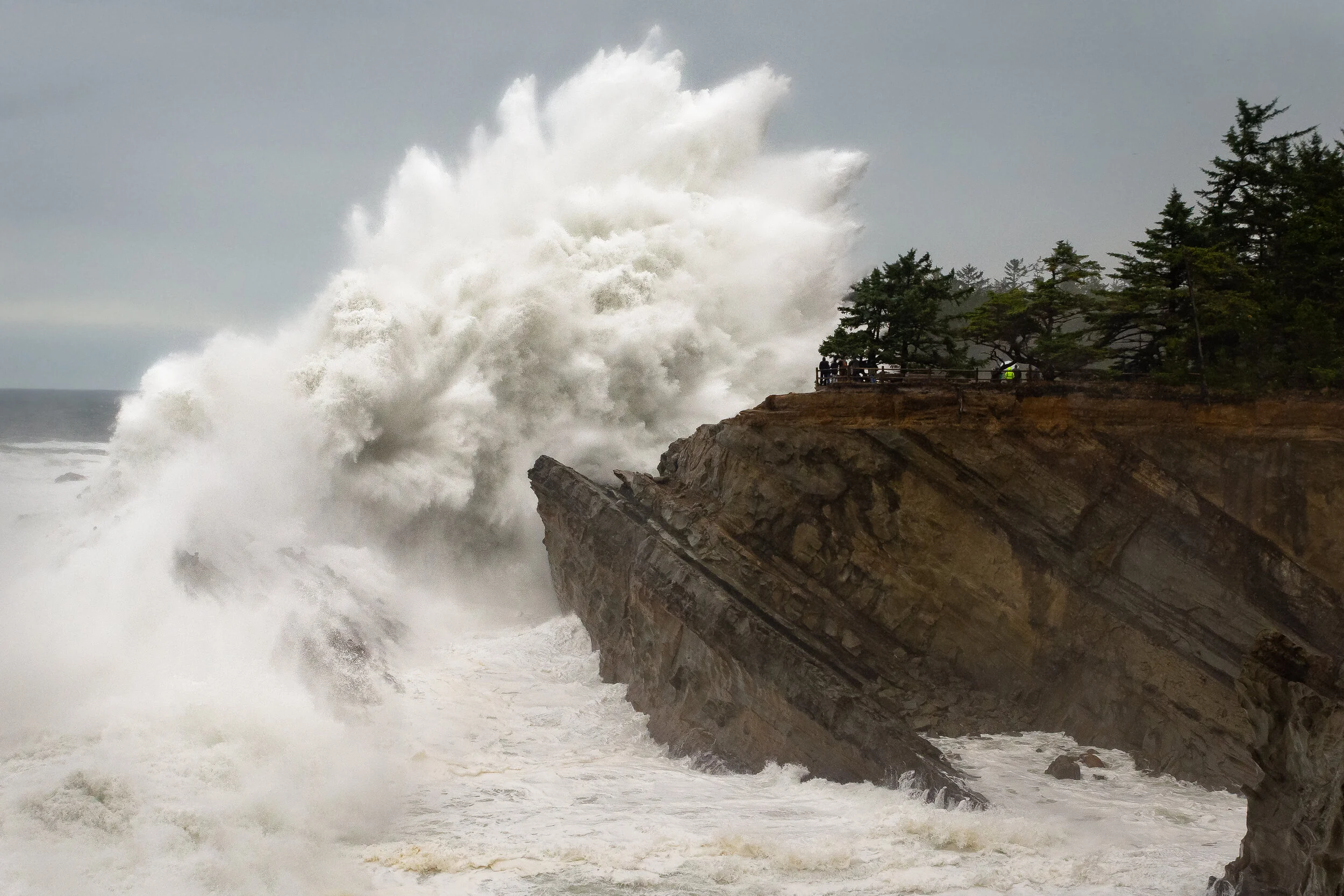 Shore_Acres_Blog.jpg