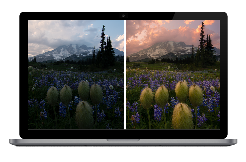 virtual workshop before after v2.png