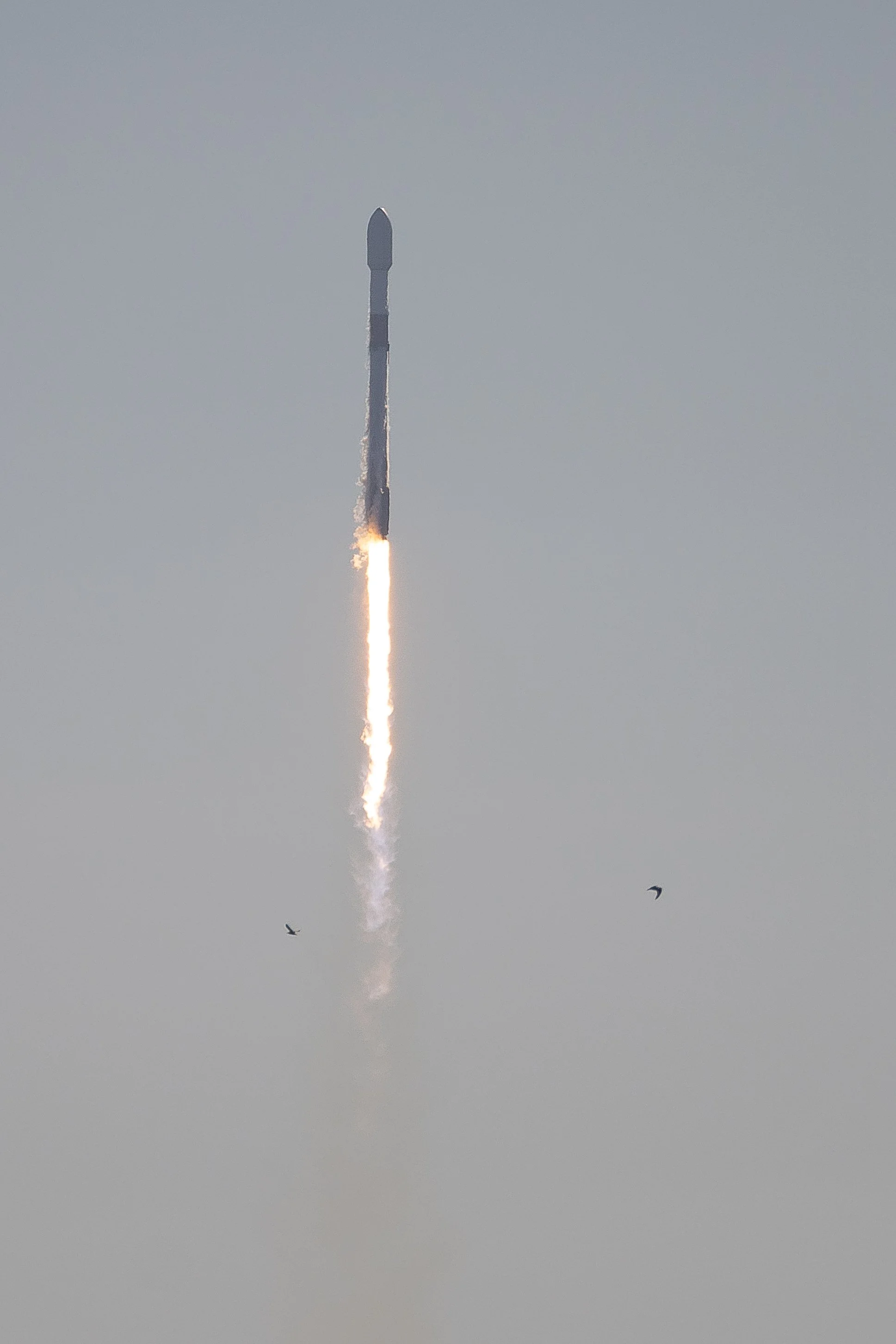 R4_09615.jpg