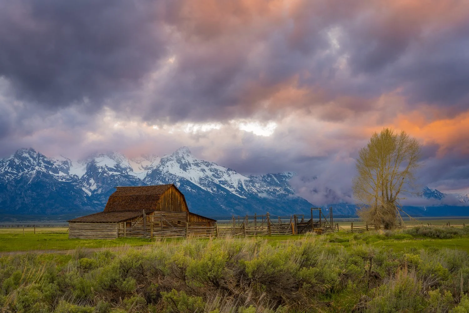 Mormon Row at sunset