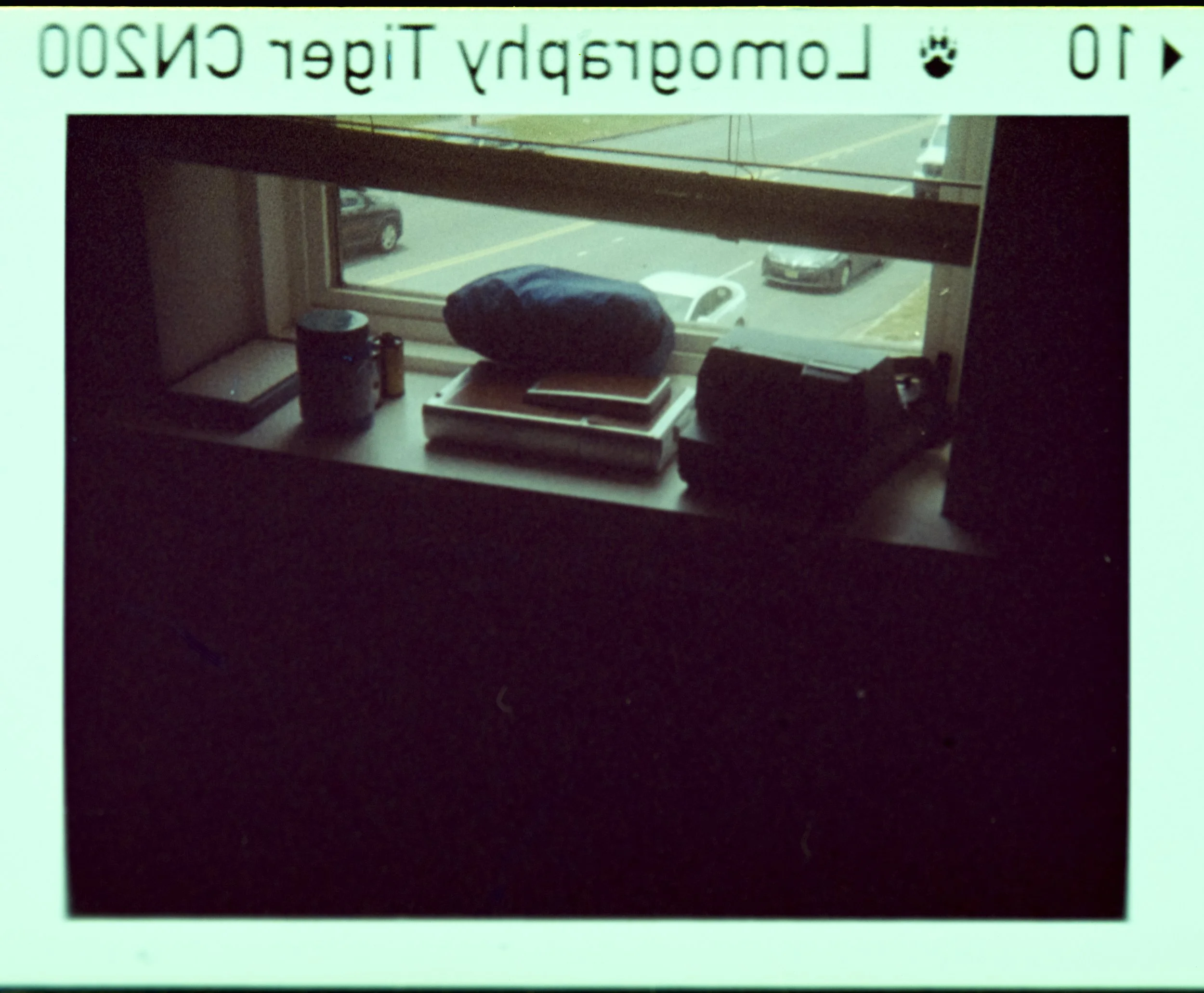 00007132 - Lomo Tiger 110 - Skyye Turner (16 of 24).jpg