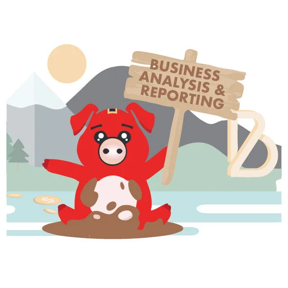 NCBIZ What We Offer-Business Analysis.jpg