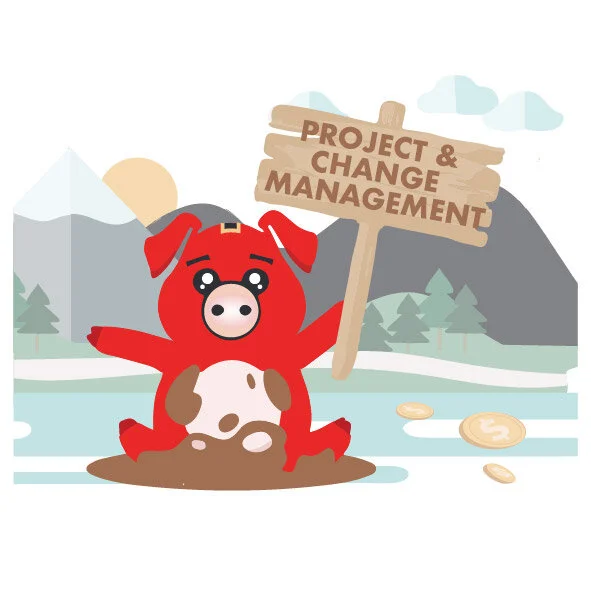 NCBIZ What We Offer-Project & Change.jpg