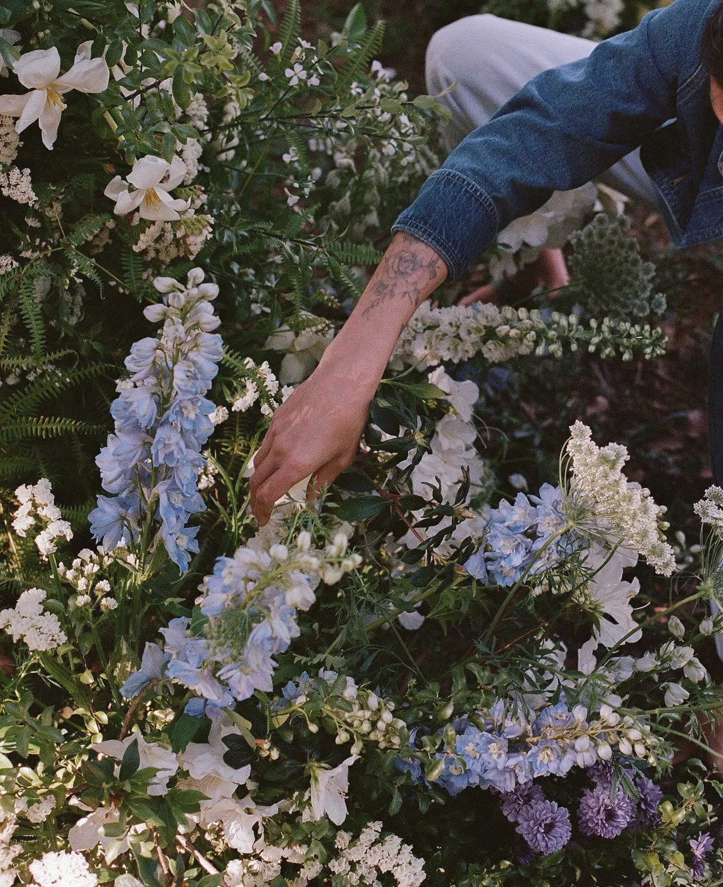 @flwr_studio amongst her flowers @thefarmatbyronbay 

Film photography @wilunastudio 
Scan &amp; dev @bayou_film 

#byronbaywedding #thefarmbyronbay #film #byronbayphotographer #byronbayfilm