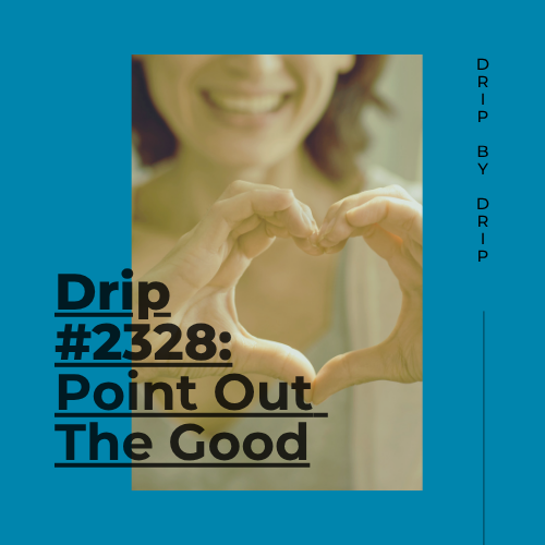 Point Out The Good
