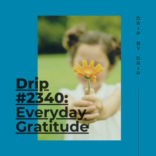Everyday Gratitude