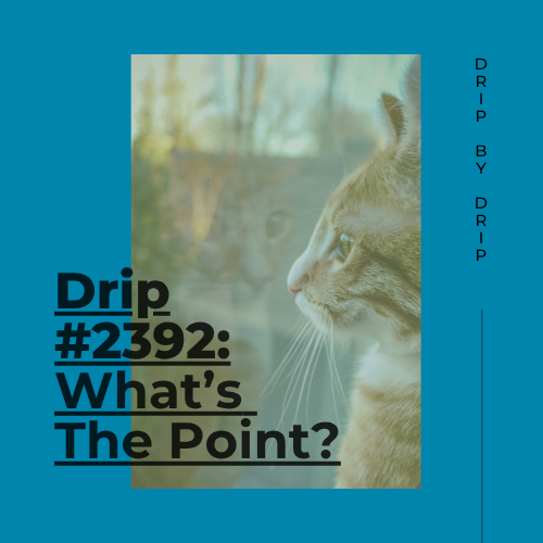 What’s The Point?
