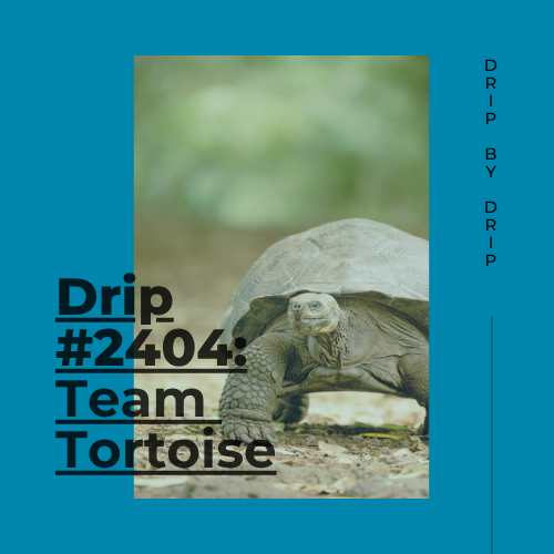 Team Tortoise