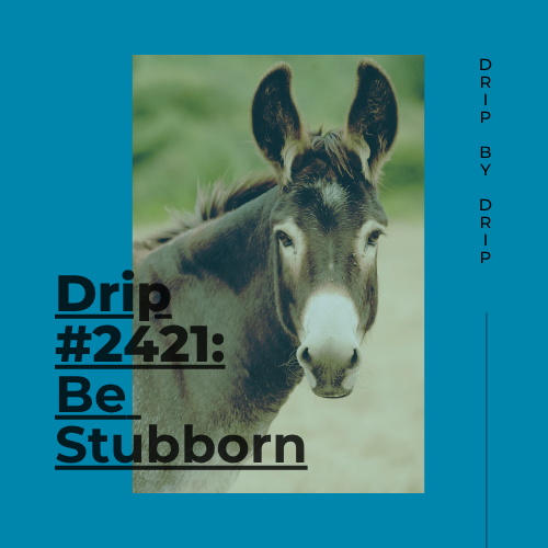 Be Stubborn
