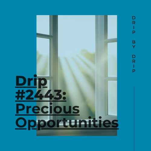 Precious Opportunities