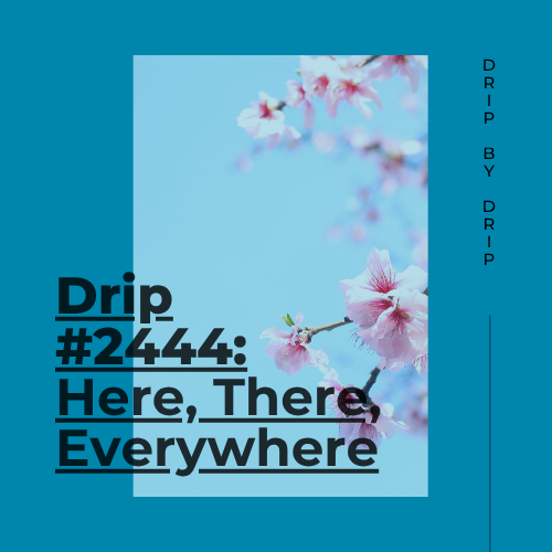 Here, There, Everywhere