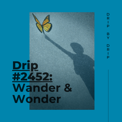 Wander &amp; Wonder