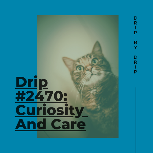 Curiosity And Care