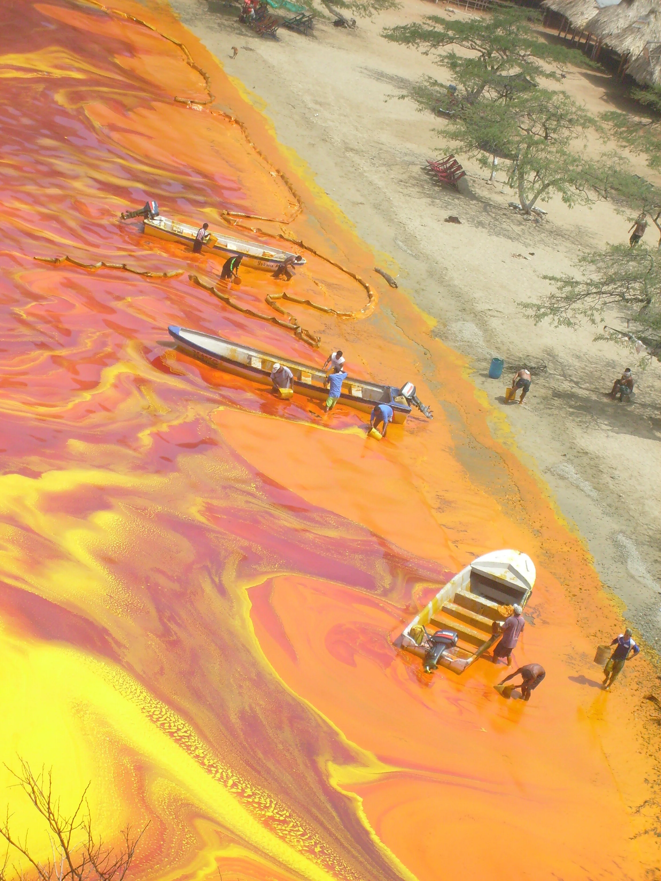 case_ssf_taganga_palmOil._AlejandroSuarez1.JPG