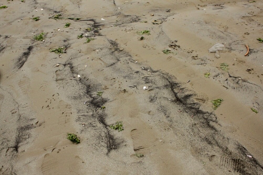 Coal sediments in Ventanas Beach. Photo Credit: T.S.