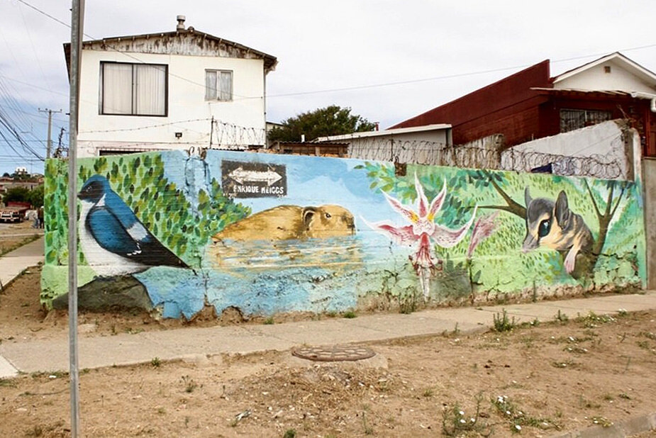 Mural with native flora and fauna, by “Murales por la vida”.  Photo credit: T.S.