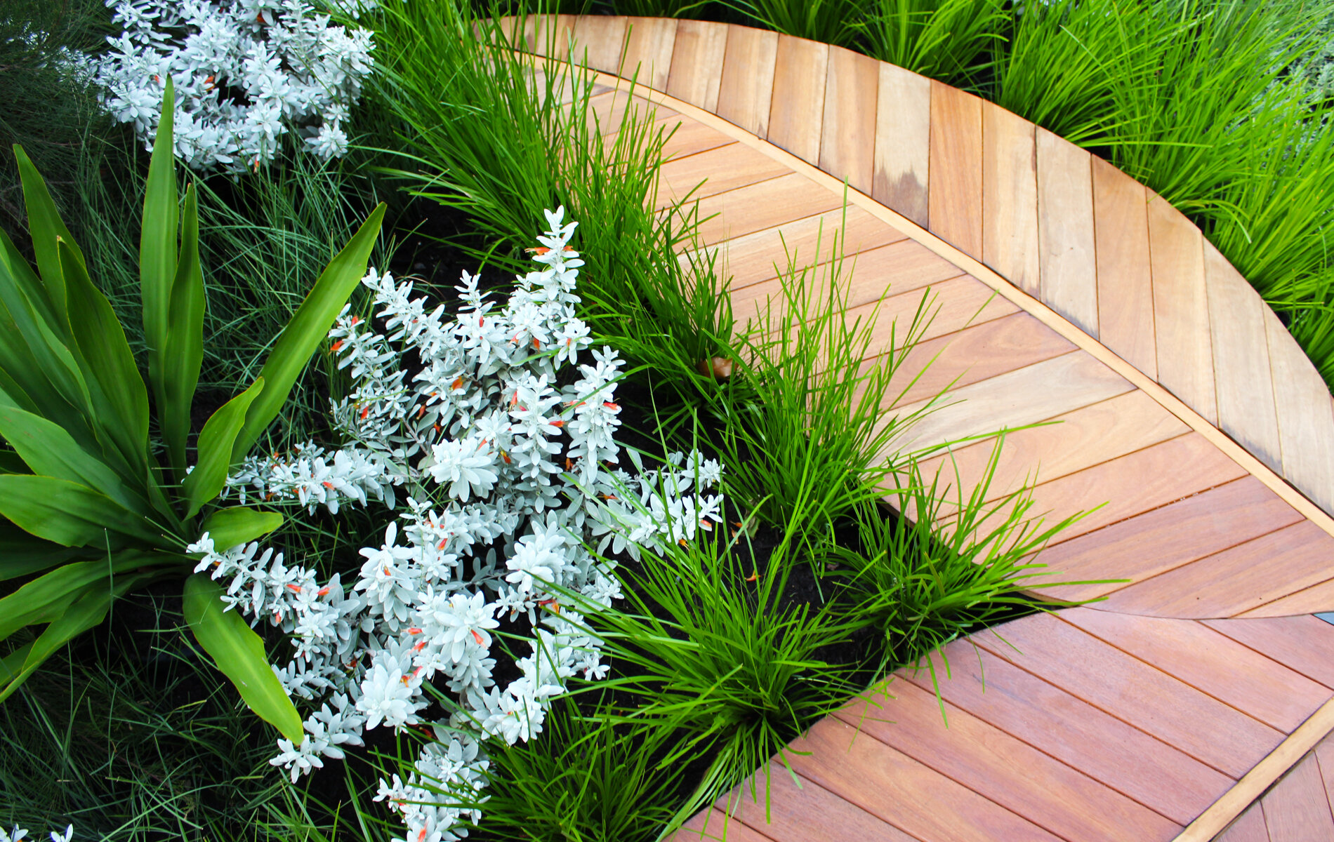 greener-garden-company-41.jpg