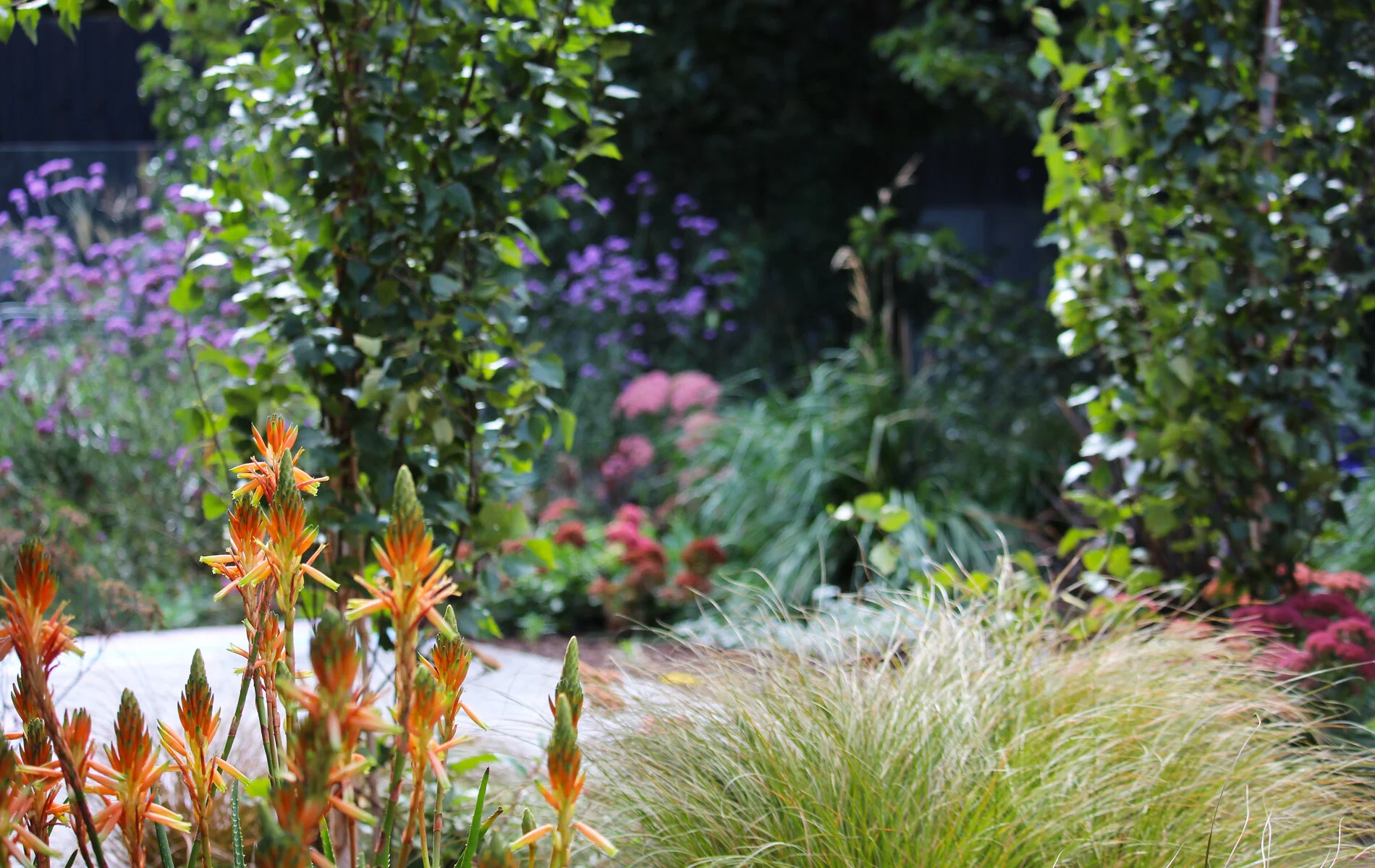 greener-garden-company-563.jpg