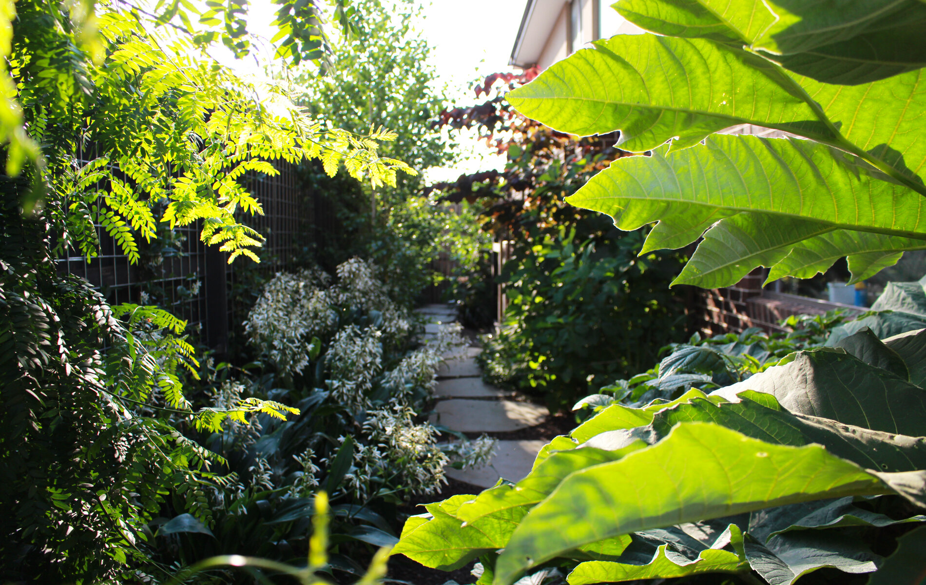 greener-garden-company-878pg.jpg