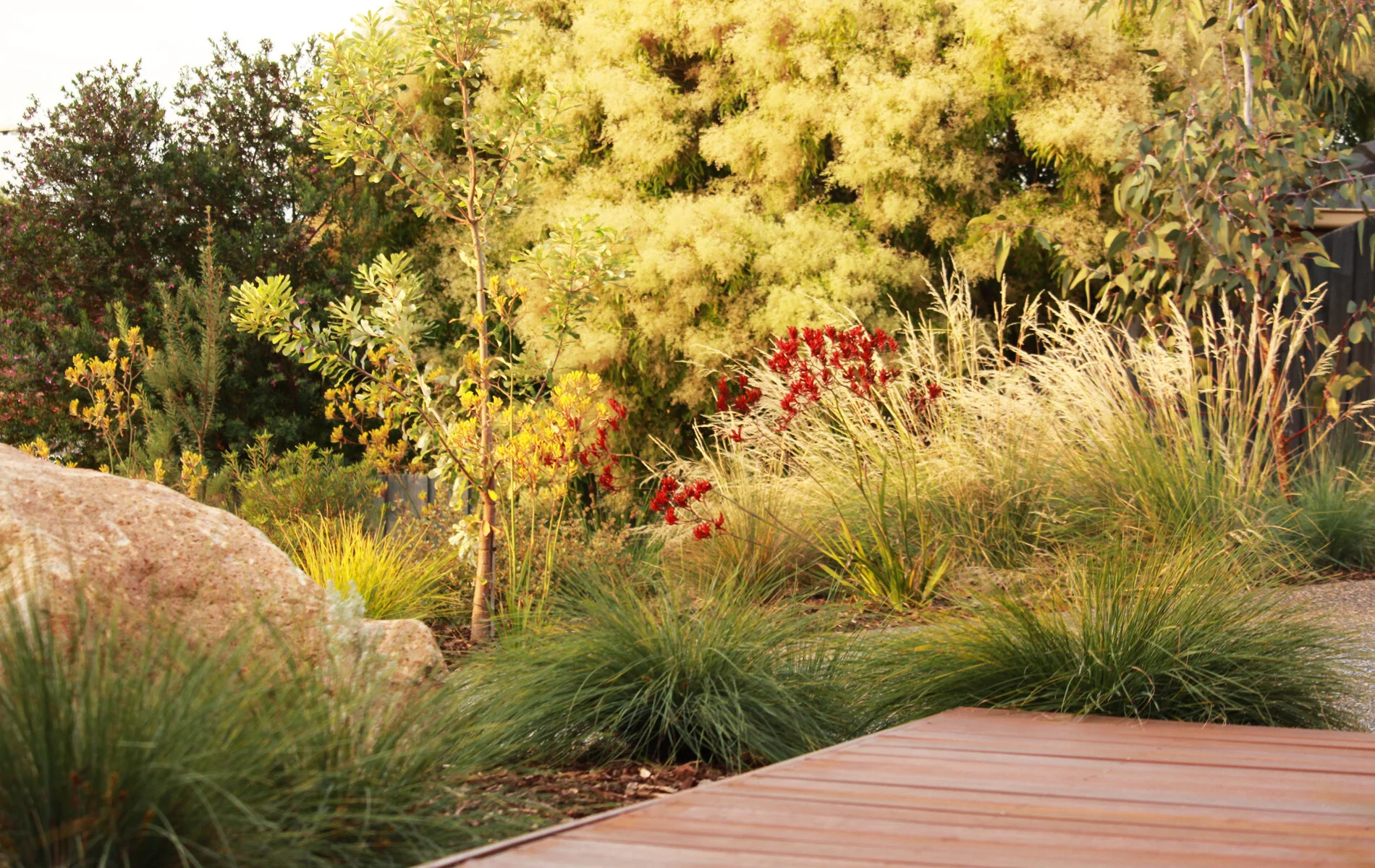 greener-garden-company-918pg.jpg