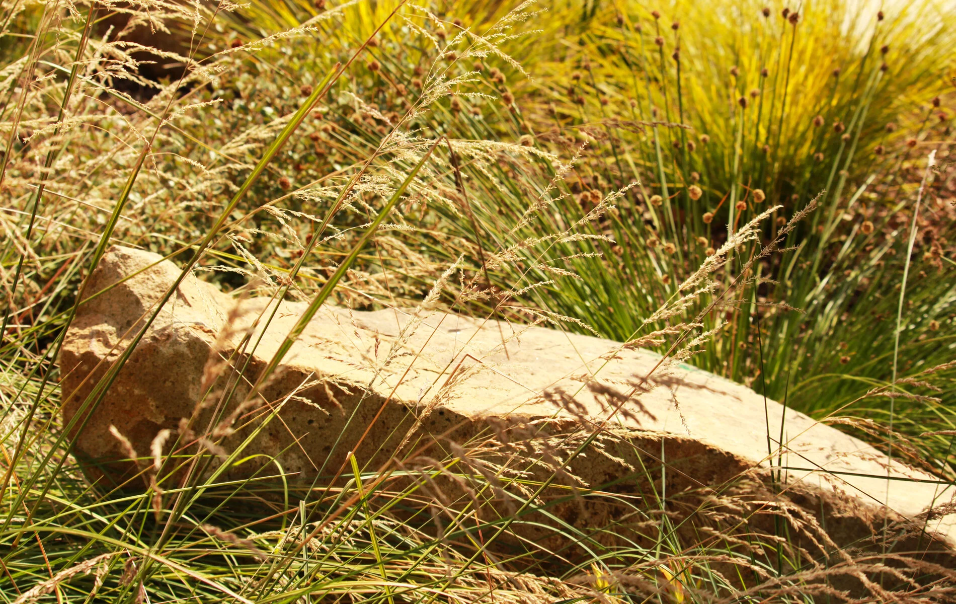 greener-garden-company-912pg.jpg