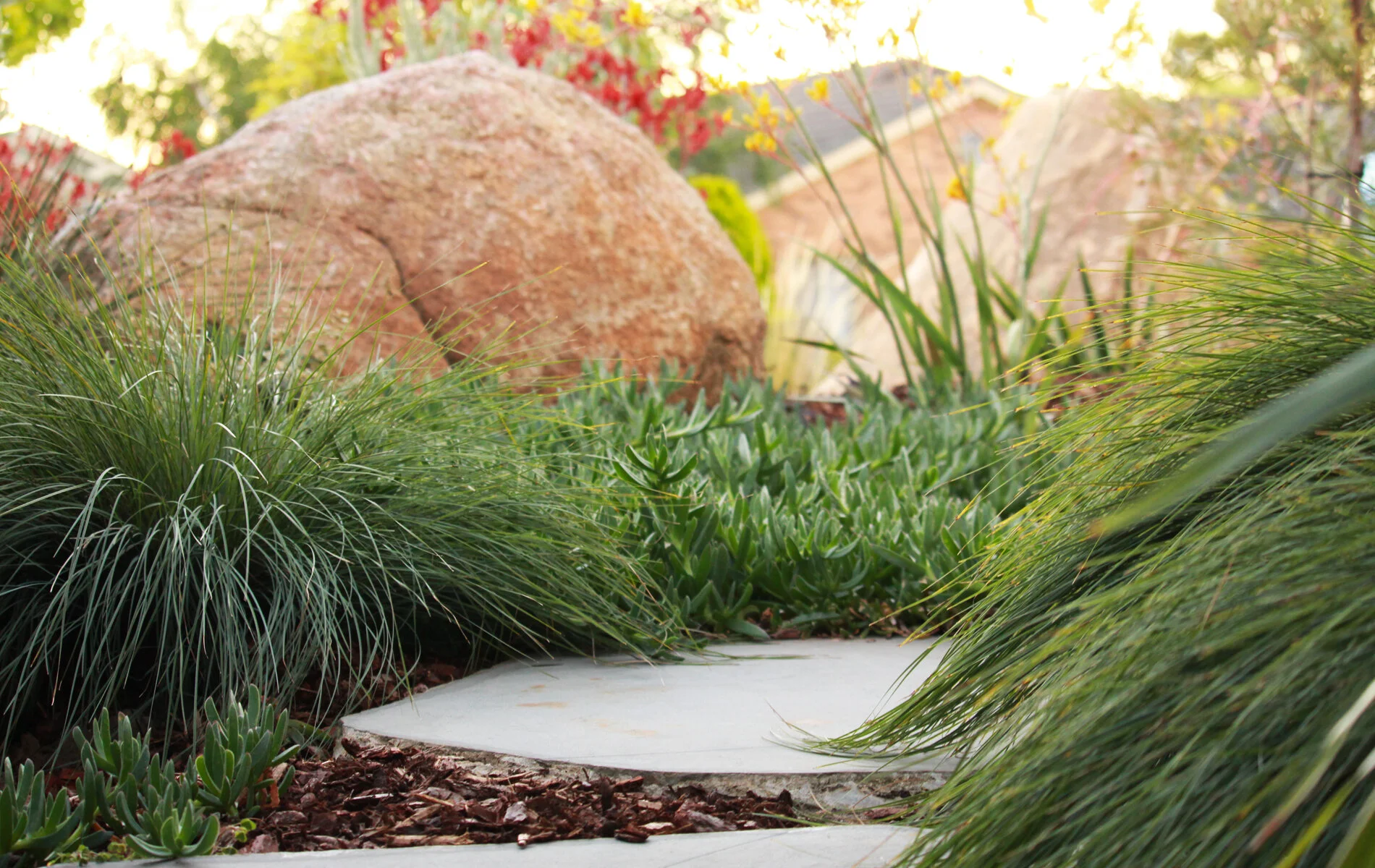 greener-garden-company-892pg.jpg